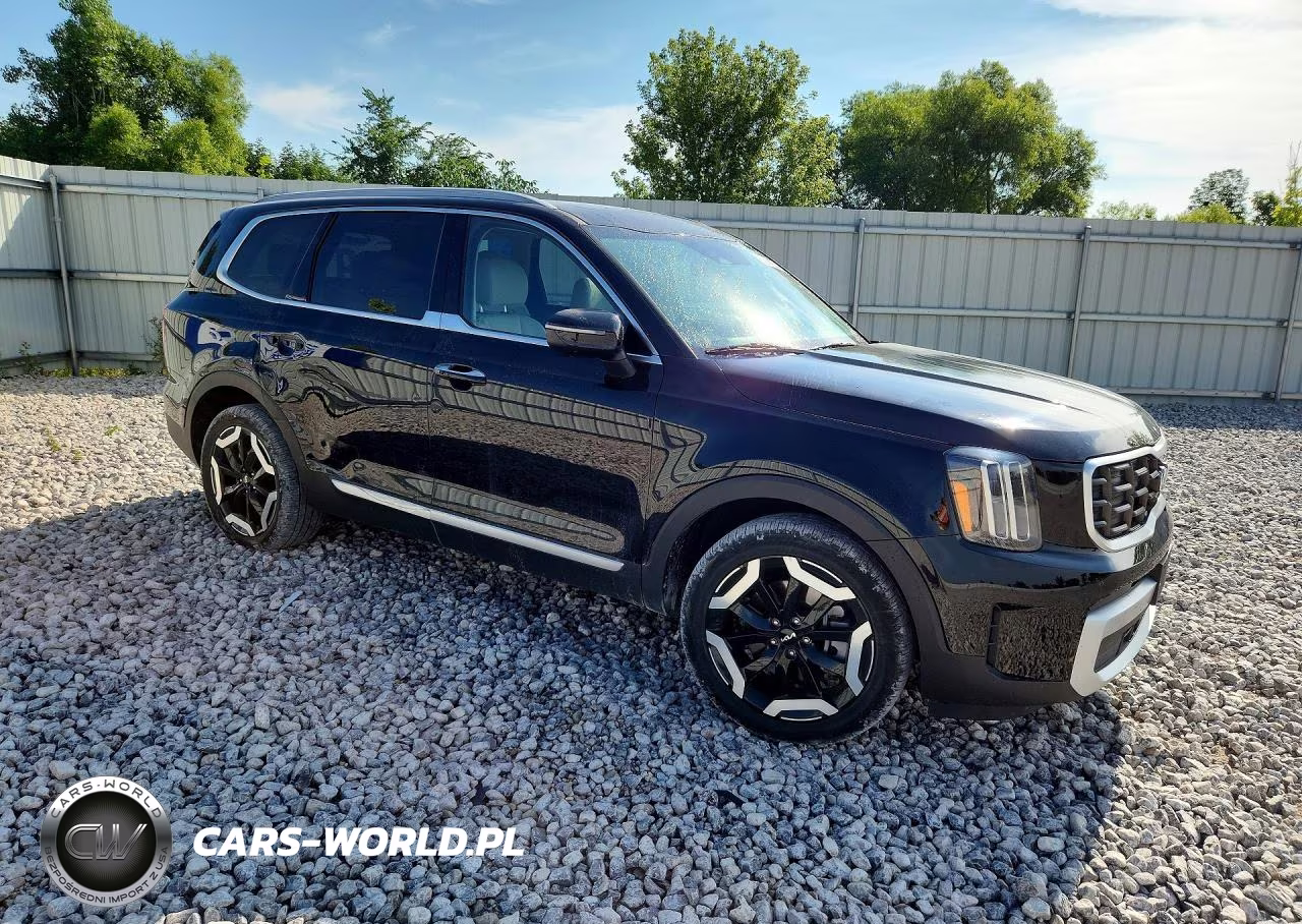 2025 Kia Telluride S VIN:5XYP6DGC8SG653094 - 4