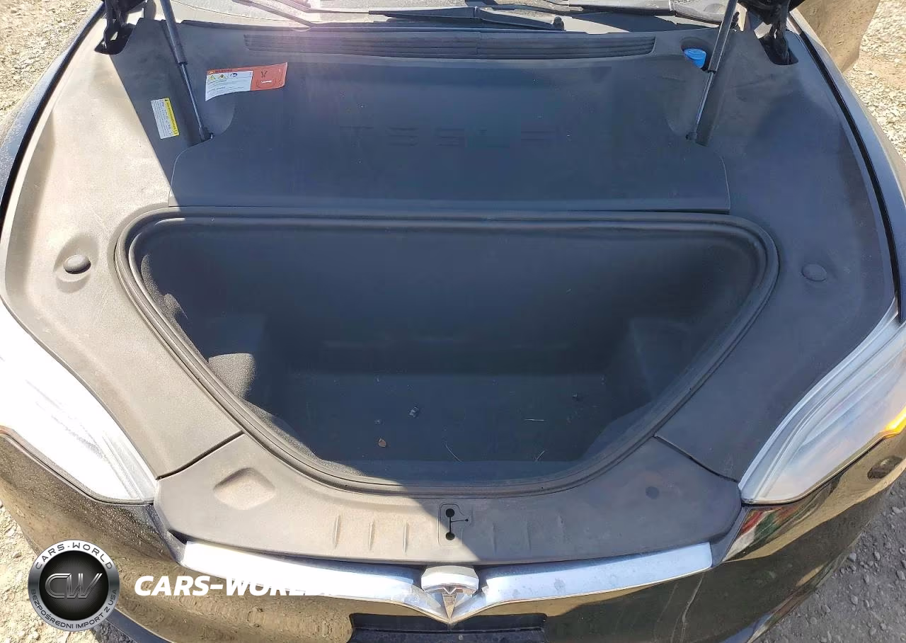 2016 Tesla Model S VIN:5YJSA1E29GF145281 - 11