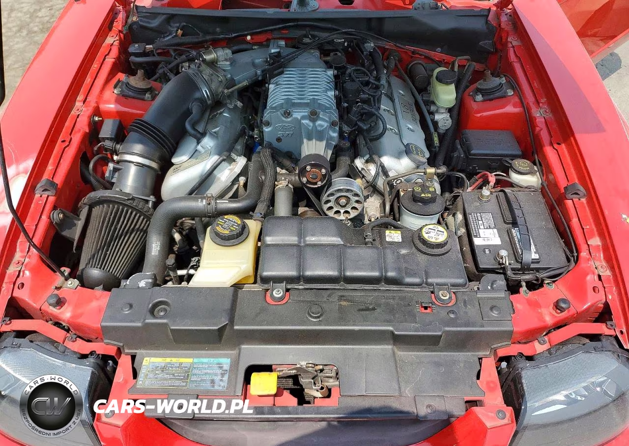 2003 Ford Mustang Cobra Svt VIN:1FAFP49YX3F447769 - 11