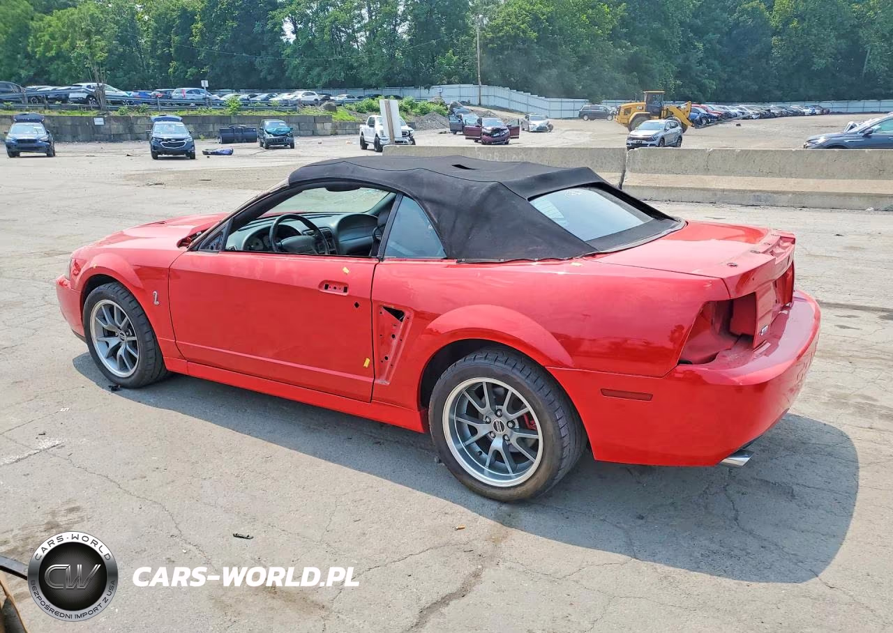 2003 Ford Mustang Cobra Svt VIN:1FAFP49YX3F447769 - 2