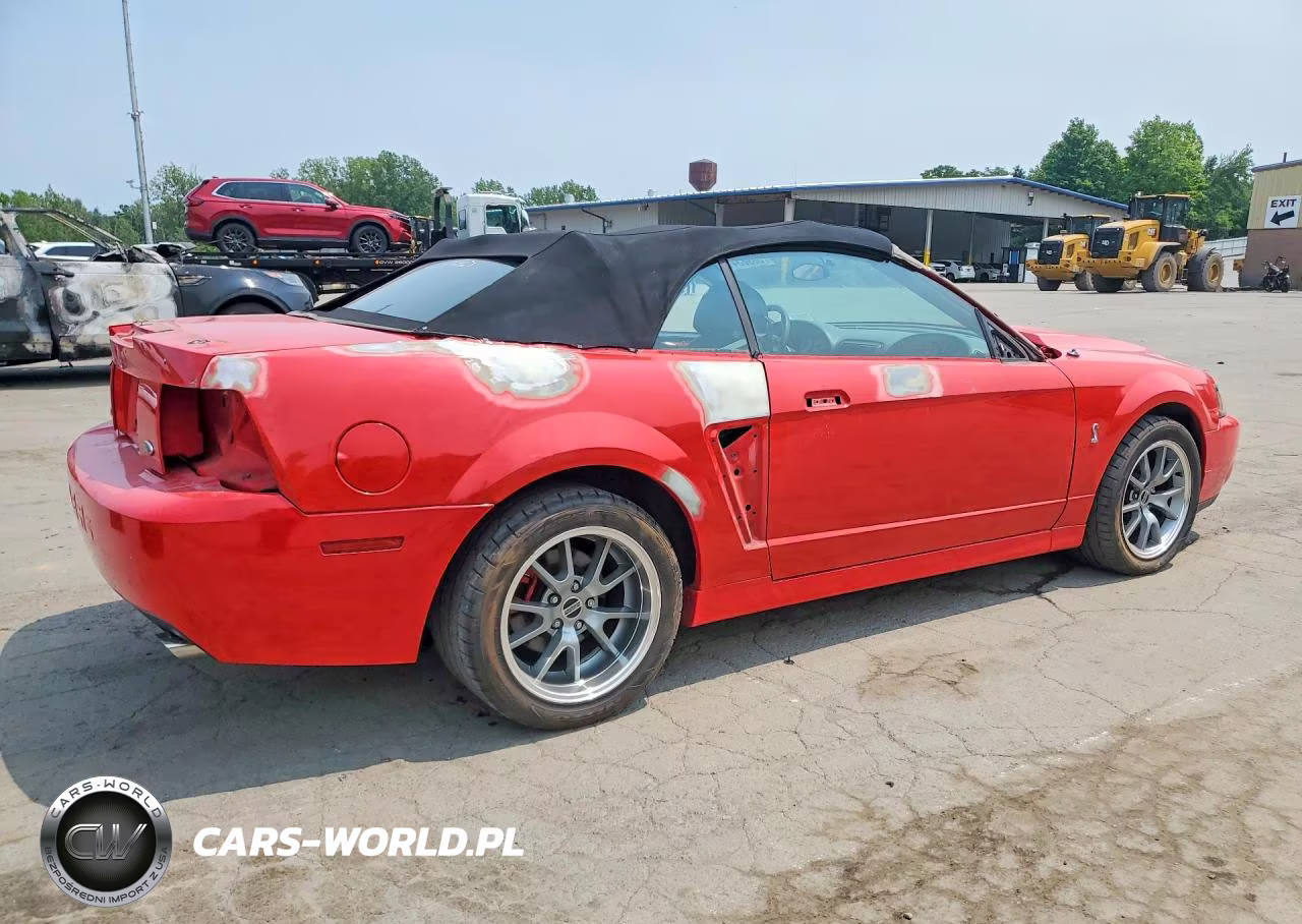 2003 Ford Mustang Cobra Svt VIN:1FAFP49YX3F447769 - 3