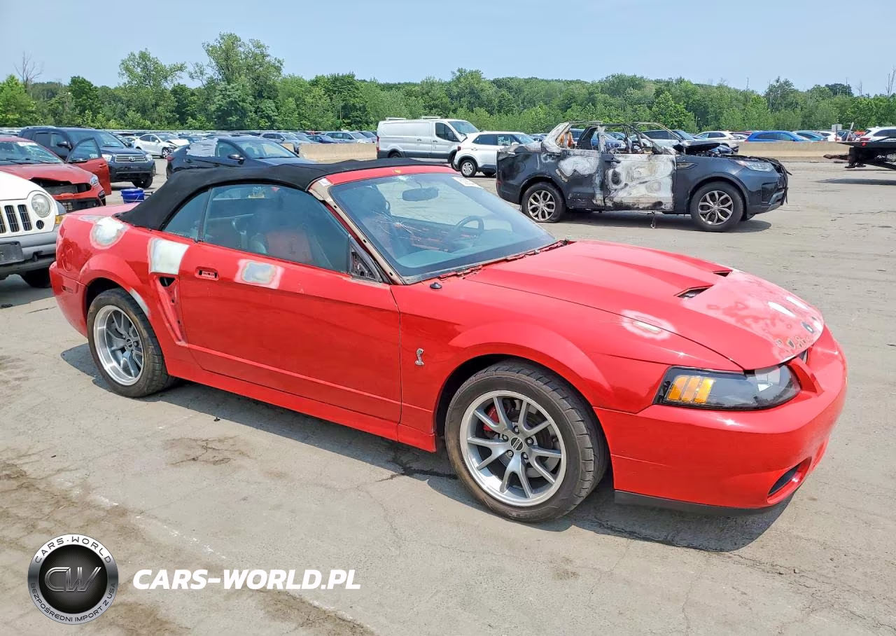 2003 Ford Mustang Cobra Svt VIN:1FAFP49YX3F447769 - 4