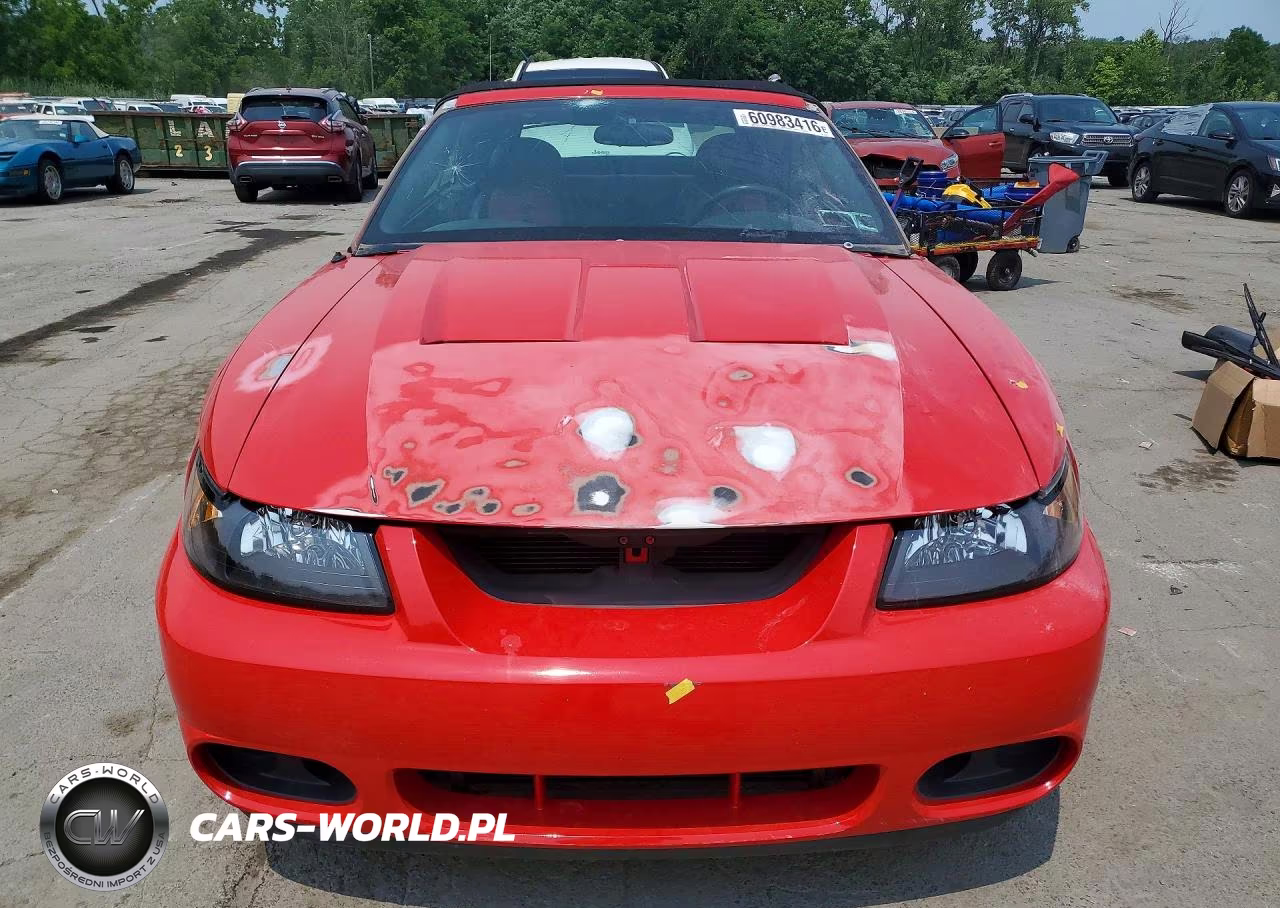 2003 Ford Mustang Cobra Svt VIN:1FAFP49YX3F447769 - 5