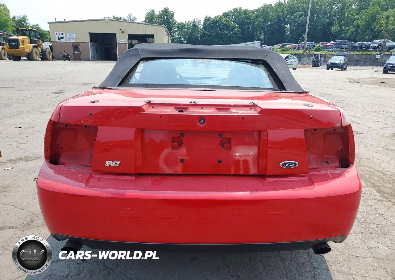 2003 Ford Mustang Cobra Svt VIN:1FAFP49YX3F447769 - 6