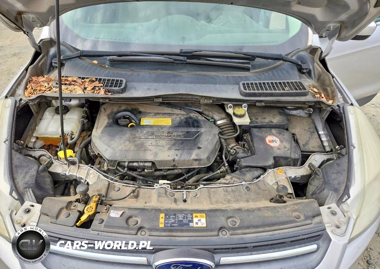 2014 Ford Escape Se VIN:1FMCU0GX8EUC94196 - 12