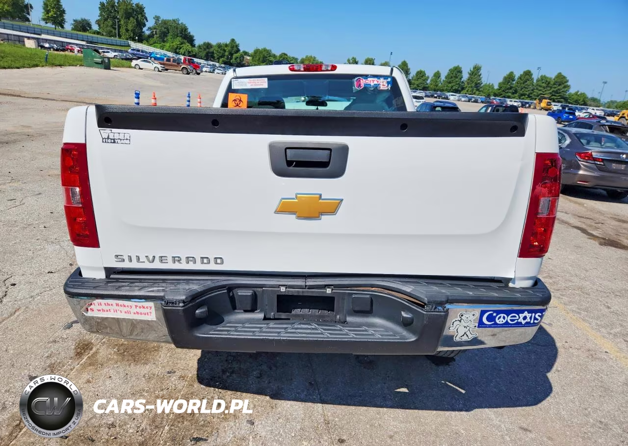 2013 Chevrolet Silverado C1500 VIN:1GCRCPEX2DZ396902 - 6