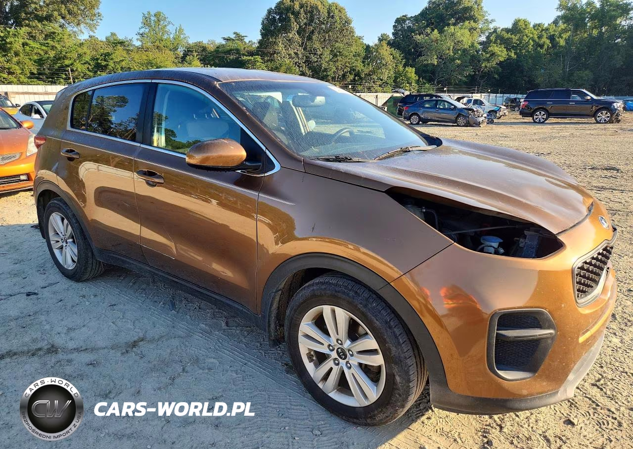 2017 Kia Sportage Lx VIN:KNDPM3AC9H7276435 - 4