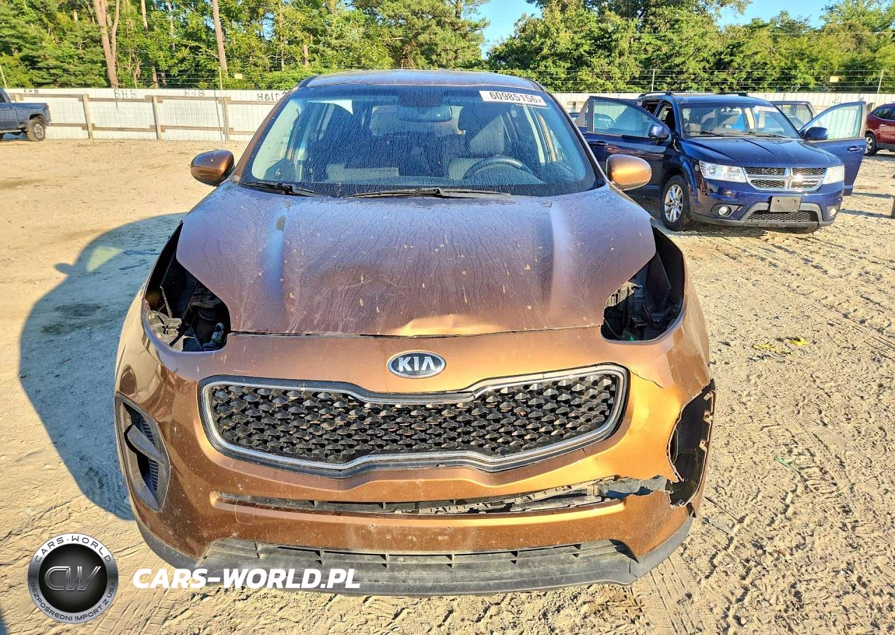 2017 Kia Sportage Lx VIN:KNDPM3AC9H7276435 - 5