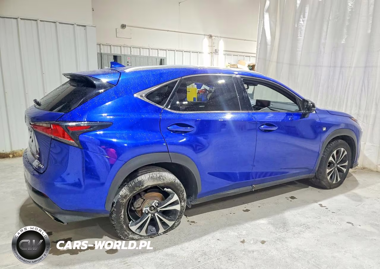 2020 Lexs Nx300 F4 VIN:JTJSARDZ0L2226127 - 3