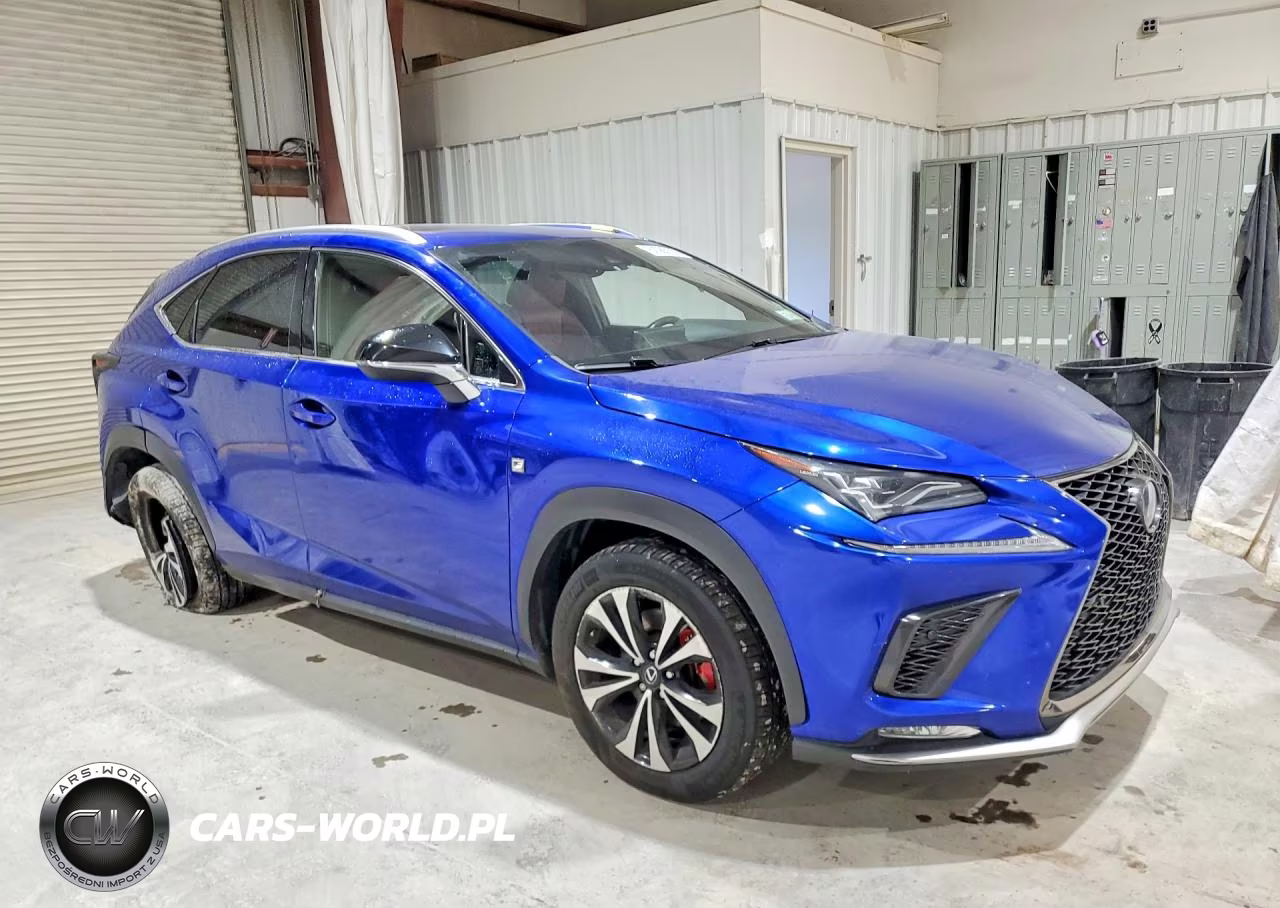 2020 Lexs Nx300 F4 VIN:JTJSARDZ0L2226127 - 4