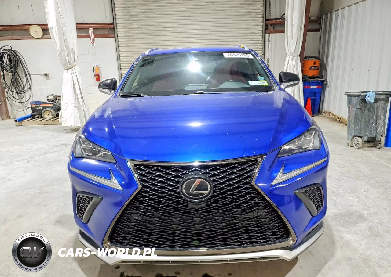2020 Lexs Nx300 F4 VIN:JTJSARDZ0L2226127 - 5