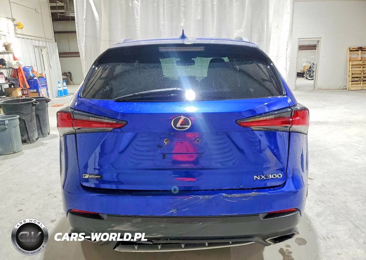 2020 Lexs Nx300 F4 VIN:JTJSARDZ0L2226127 - 6