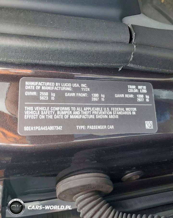 2025 Lucid Motors Air Pure VIN:50EA1PGA4SA007342 - 13