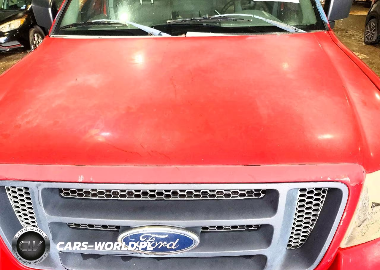 2004 Ford F150 VIN:1FTRX12W04NB16494 - 11