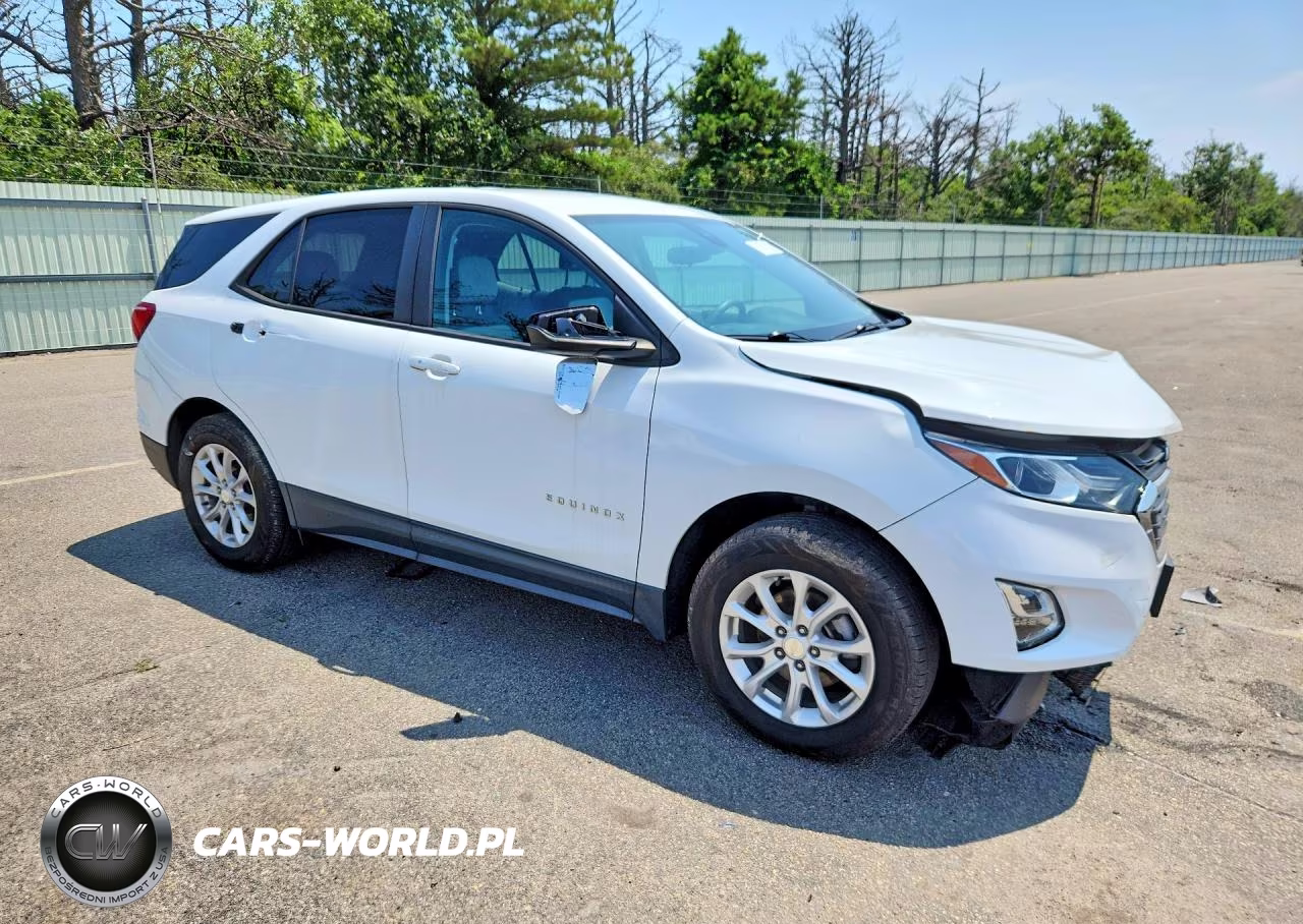 2020 Chevrolet Equinox Ls VIN:3GNAXSEV5LS557104 - 4
