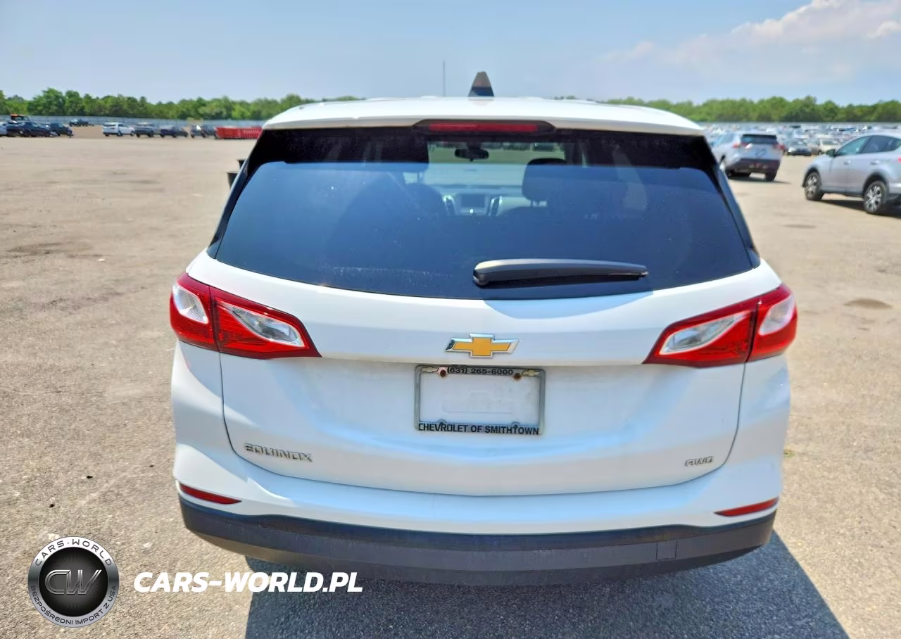 2020 Chevrolet Equinox Ls VIN:3GNAXSEV5LS557104 - 6