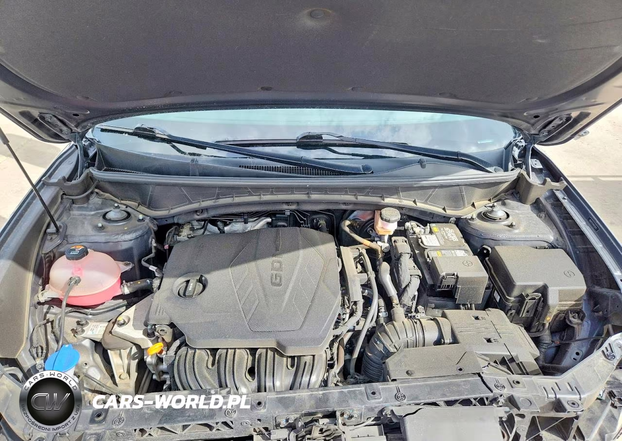 2024 Hyundai Tucson Limited VIN:5NMJE3DE9RH350317 - 12