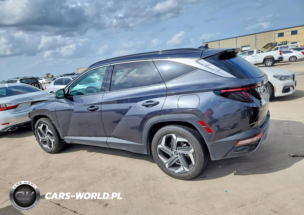 2024 Hyundai Tucson Limited VIN:5NMJE3DE9RH350317 - 2