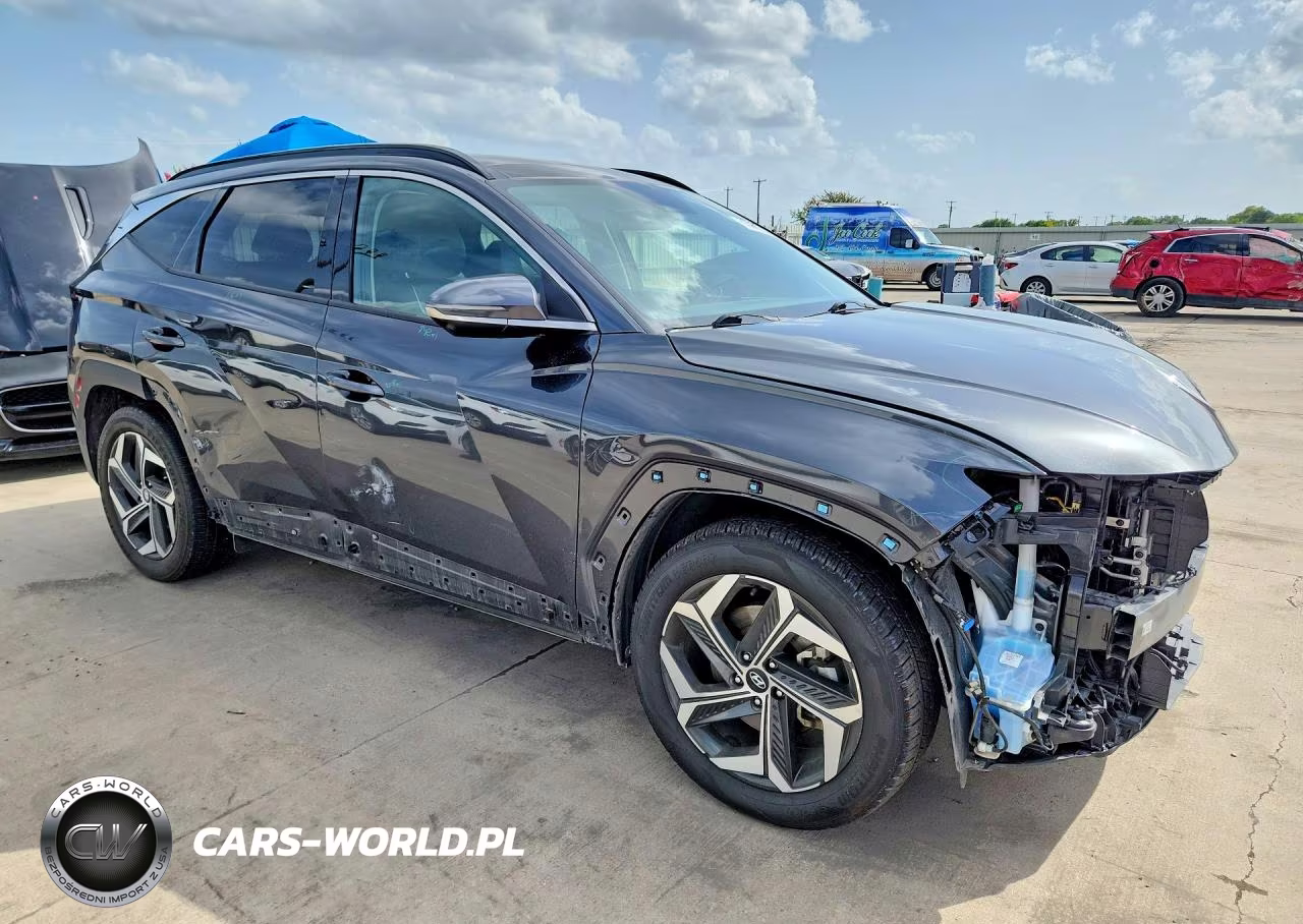 2024 Hyundai Tucson Limited VIN:5NMJE3DE9RH350317 - 4