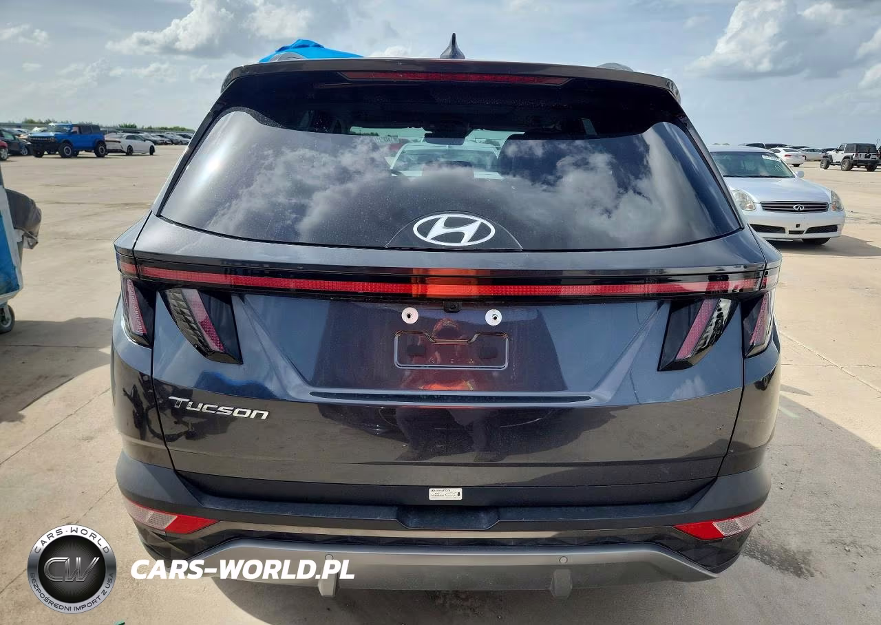 2024 Hyundai Tucson Limited VIN:5NMJE3DE9RH350317 - 6