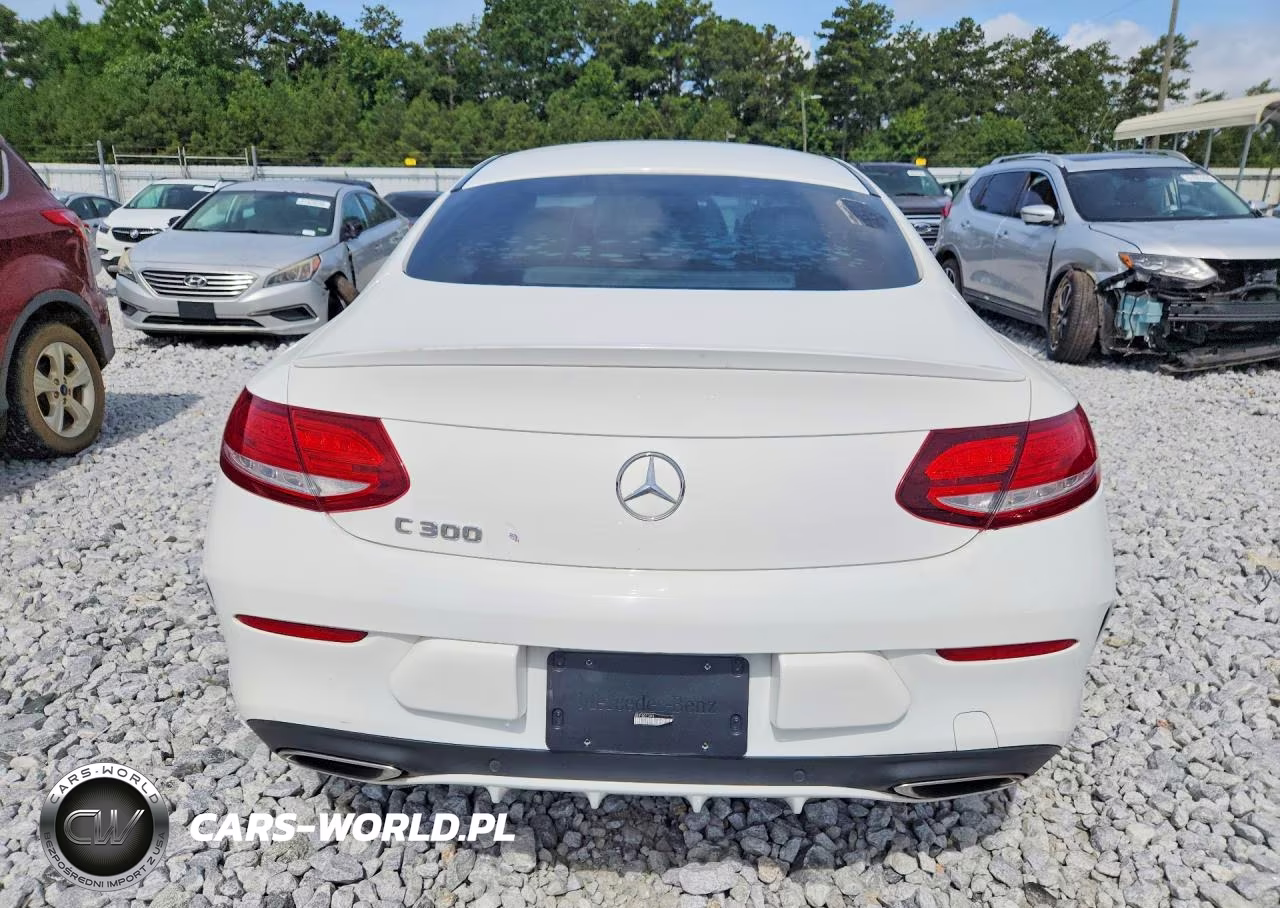 2017 Mercedes-Benz C 300 VIN:WDDWJ4JB8HF407383 - 6