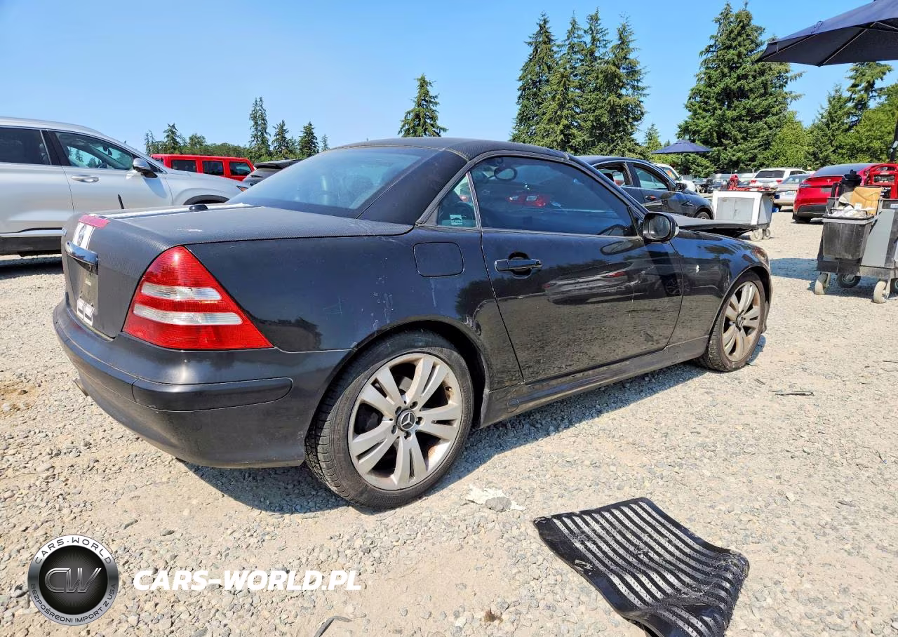 2001 Mercedes-Benz Slk 320 VIN:WDBKK65F51F225742 - 3