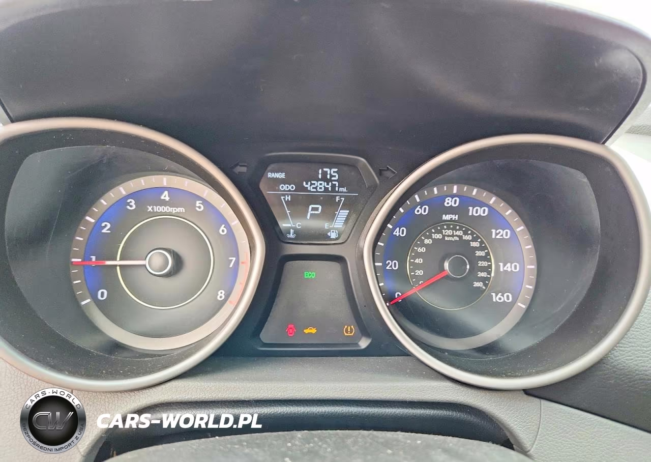 2013 Hyundai Elantra Coupe Gs VIN:KMHDH6AE5DU007169 - 9