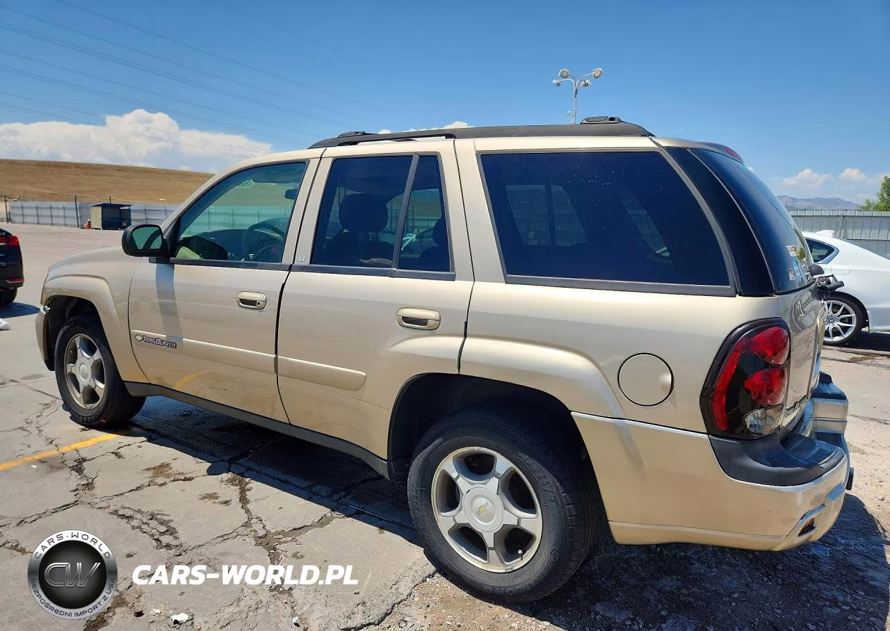 2004 Chevrolet Trailblazer Ls VIN:1GNDT13S342201999 - 2