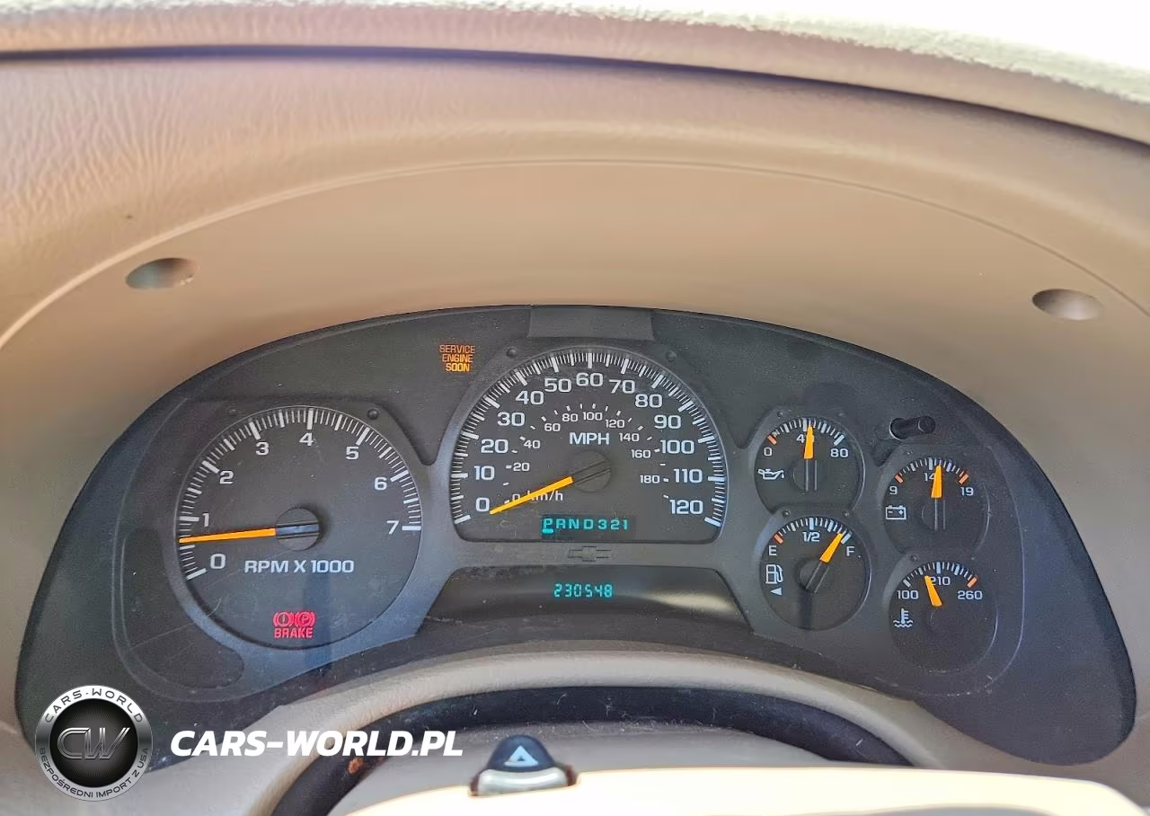 2004 Chevrolet Trailblazer Ls VIN:1GNDT13S342201999 - 9