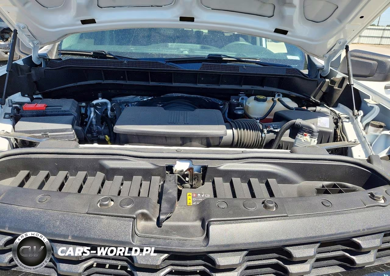 2021 Chevrolet Silverado K1500 Trail Boss Custom VIN:1GCPYCEF0MZ383736 - 12