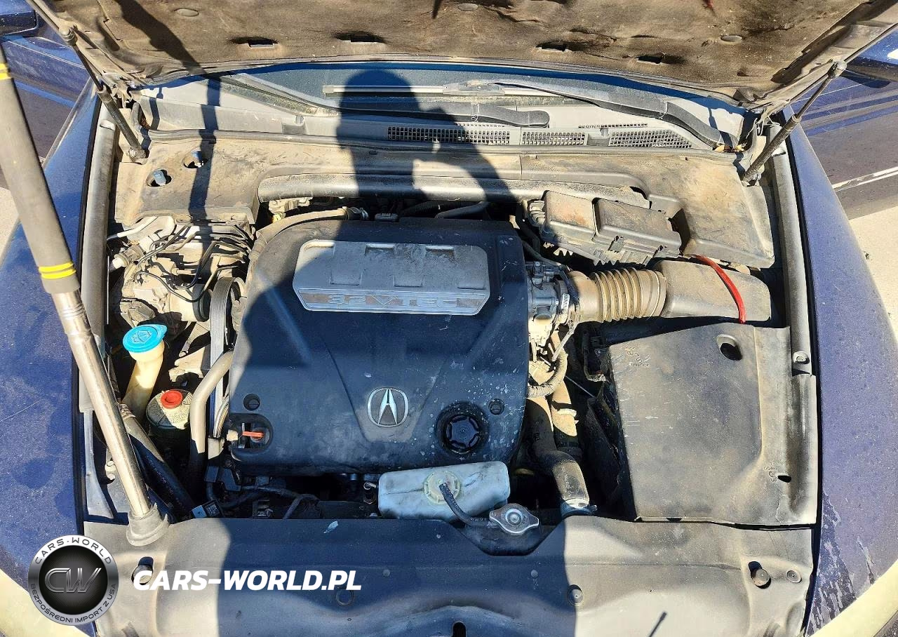 2007 Acura Tl VIN:19UUA66247A022339 - 11