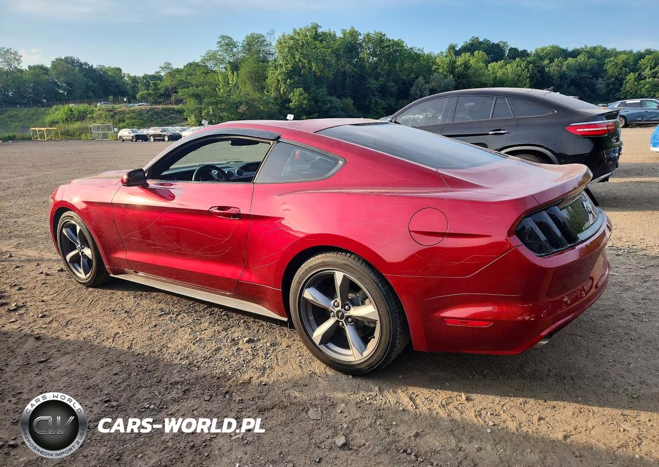 2016 Ford Mustang VIN:1FA6P8TH5G5232229 - 2