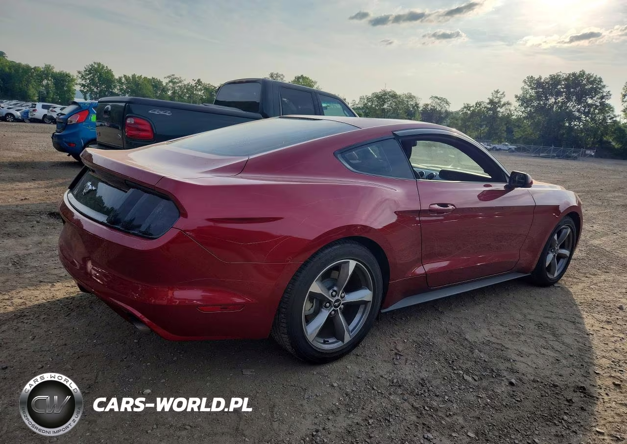 2016 Ford Mustang VIN:1FA6P8TH5G5232229 - 3