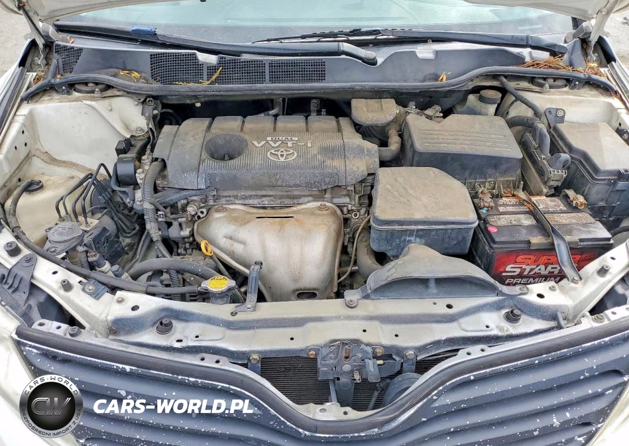2009 Toyota Venza Fwd 4Cyl VIN:4T3ZE11A39U005269 - 12