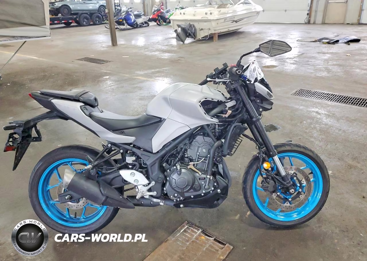 2025 Yamaha Mtn320 A