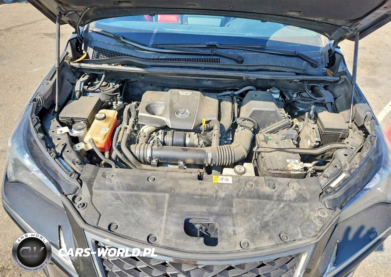2019 Lexus Nx 300 F Sport VIN:JTJYARBZ6K2124228 - 11