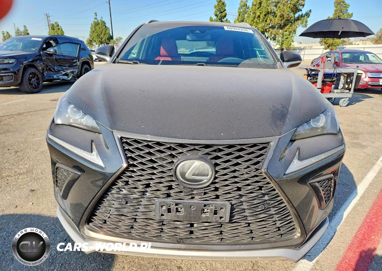 2019 Lexus Nx 300 F Sport VIN:JTJYARBZ6K2124228 - 5