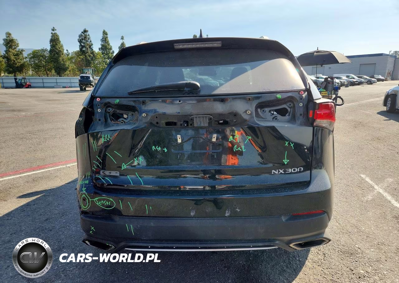 2019 Lexus Nx 300 F Sport VIN:JTJYARBZ6K2124228 - 6