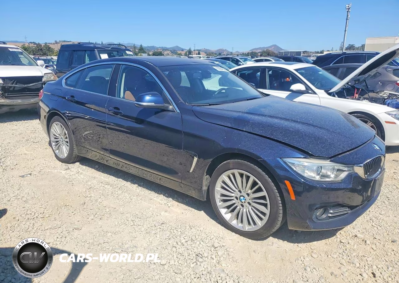 2015 BMW 428 Xi Gran Coupe Sulev VIN:WBA4C9C52FD330659 - 4