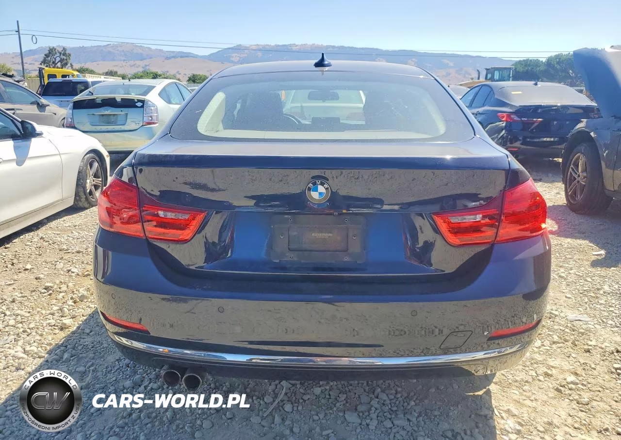 2015 BMW 428 Xi Gran Coupe Sulev VIN:WBA4C9C52FD330659 - 6