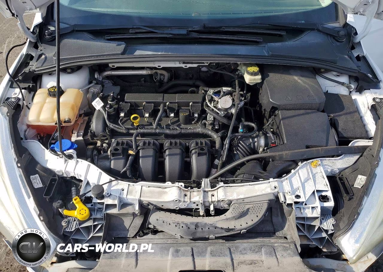 2017 Ford Focus Se VIN:1FADP3K27HL215811 - 11