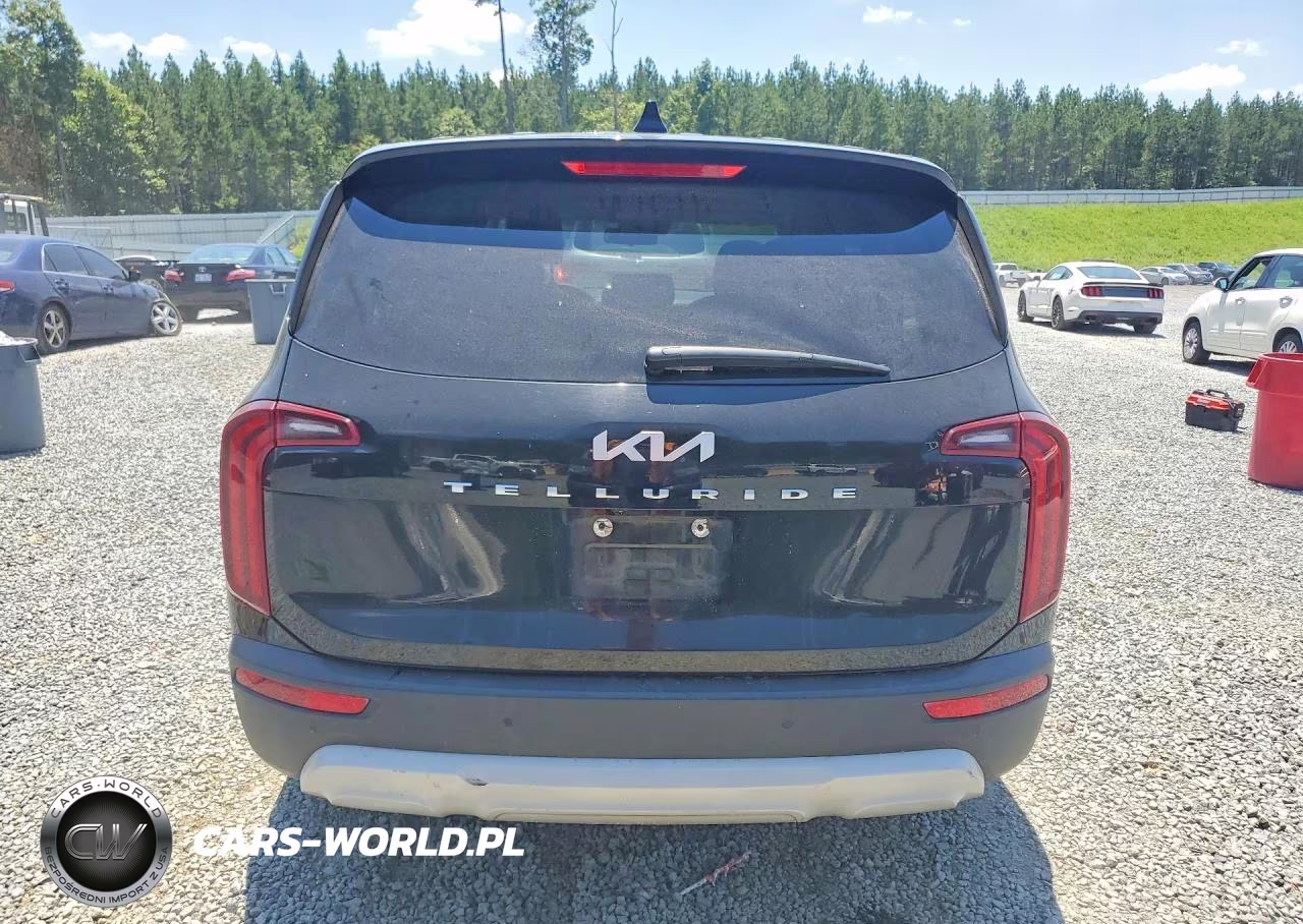2022 Kia Telluride Lx VIN:5XYP24HC1NG299692 - 6