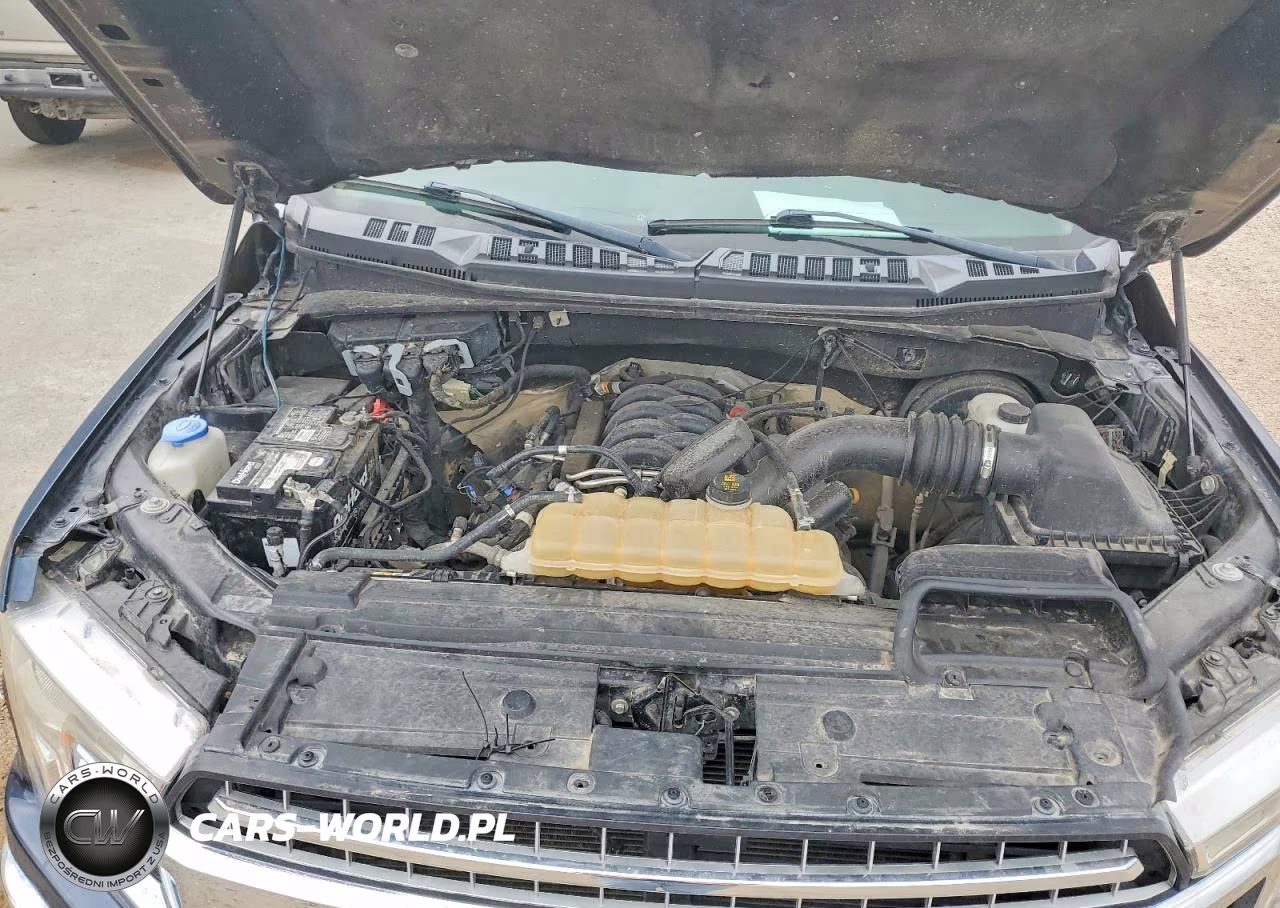 2020 Ford F150 Supercrew VIN:1FTEW1C59LKE74975 - 11
