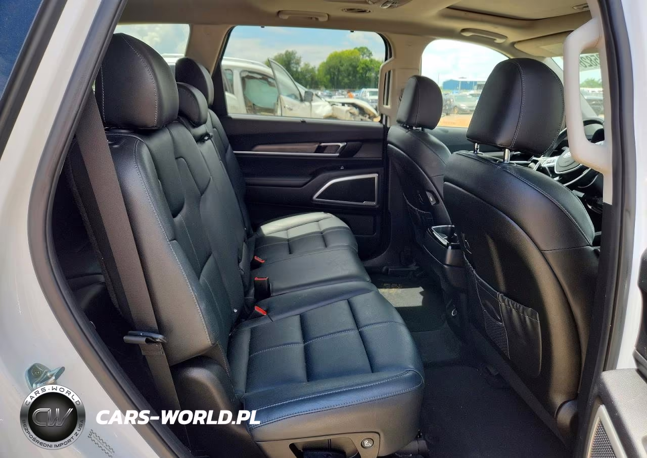 2020 Kia Telluride Ex VIN:5XYP34HC0LG065845 - 11