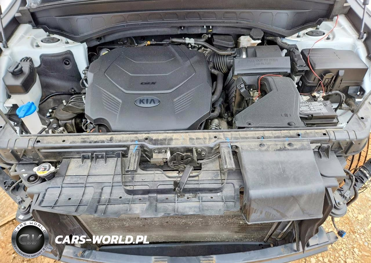 2020 Kia Telluride Ex VIN:5XYP34HC0LG065845 - 12