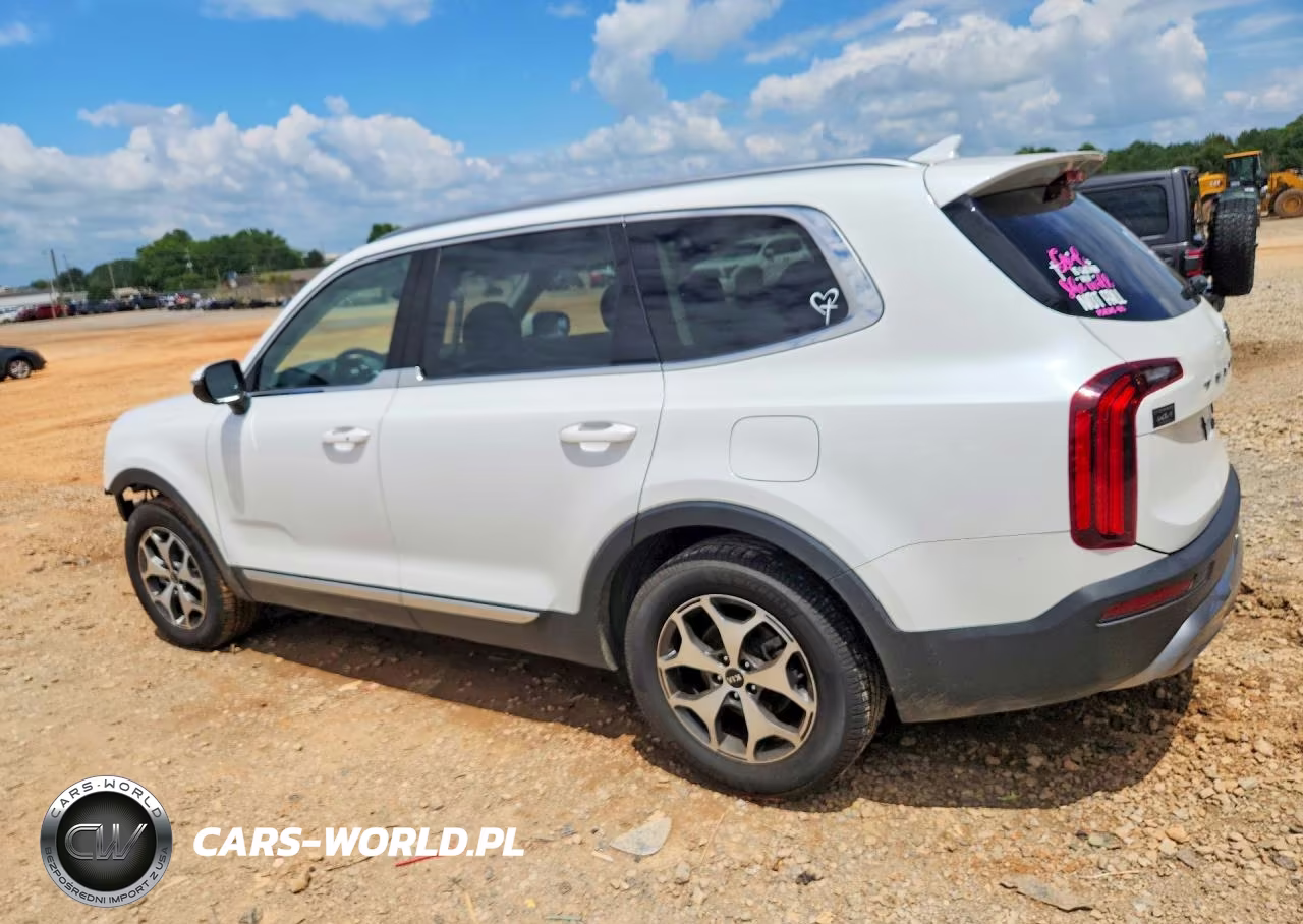 2020 Kia Telluride Ex VIN:5XYP34HC0LG065845 - 2