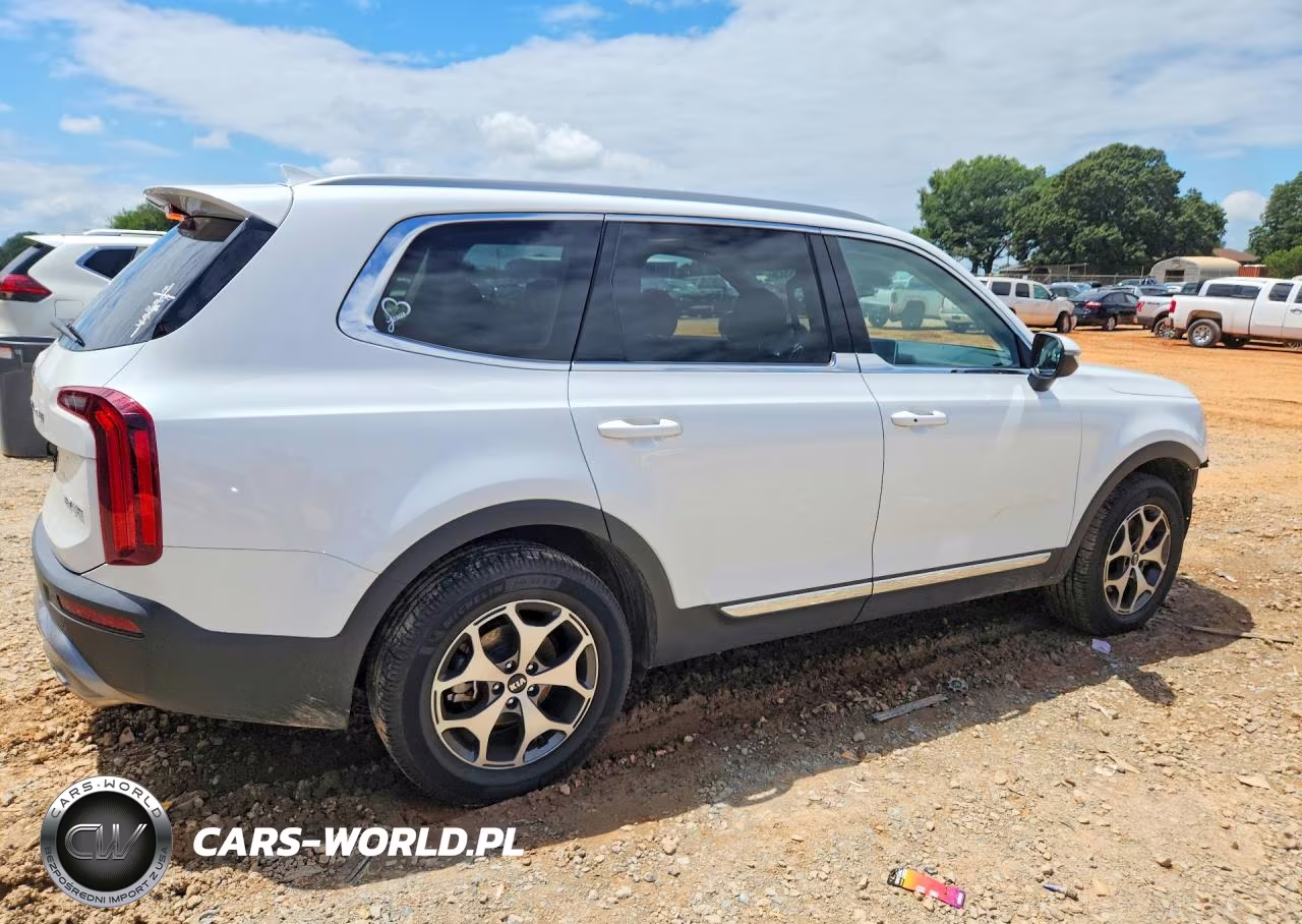 2020 Kia Telluride Ex VIN:5XYP34HC0LG065845 - 3