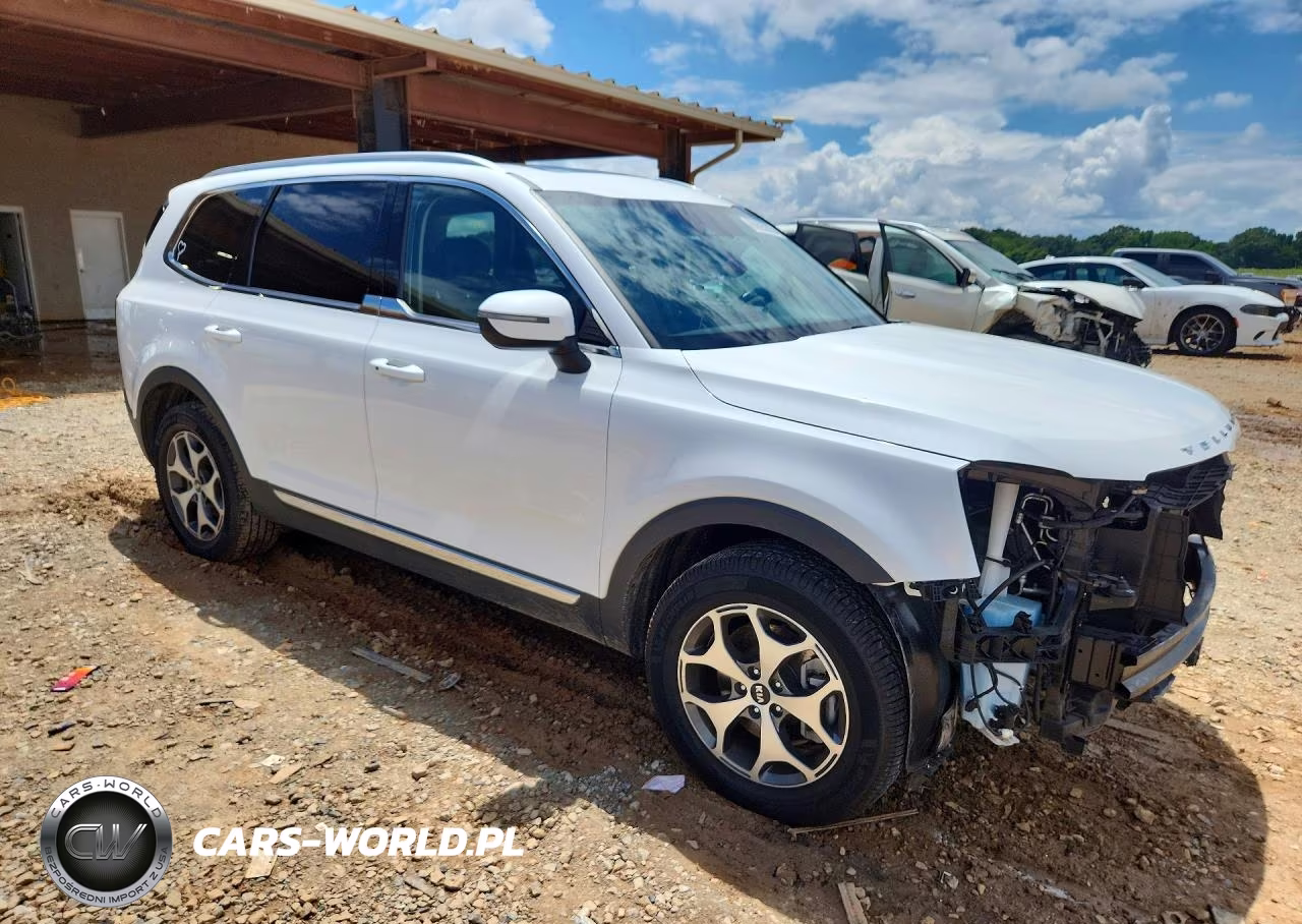 2020 Kia Telluride Ex VIN:5XYP34HC0LG065845 - 4
