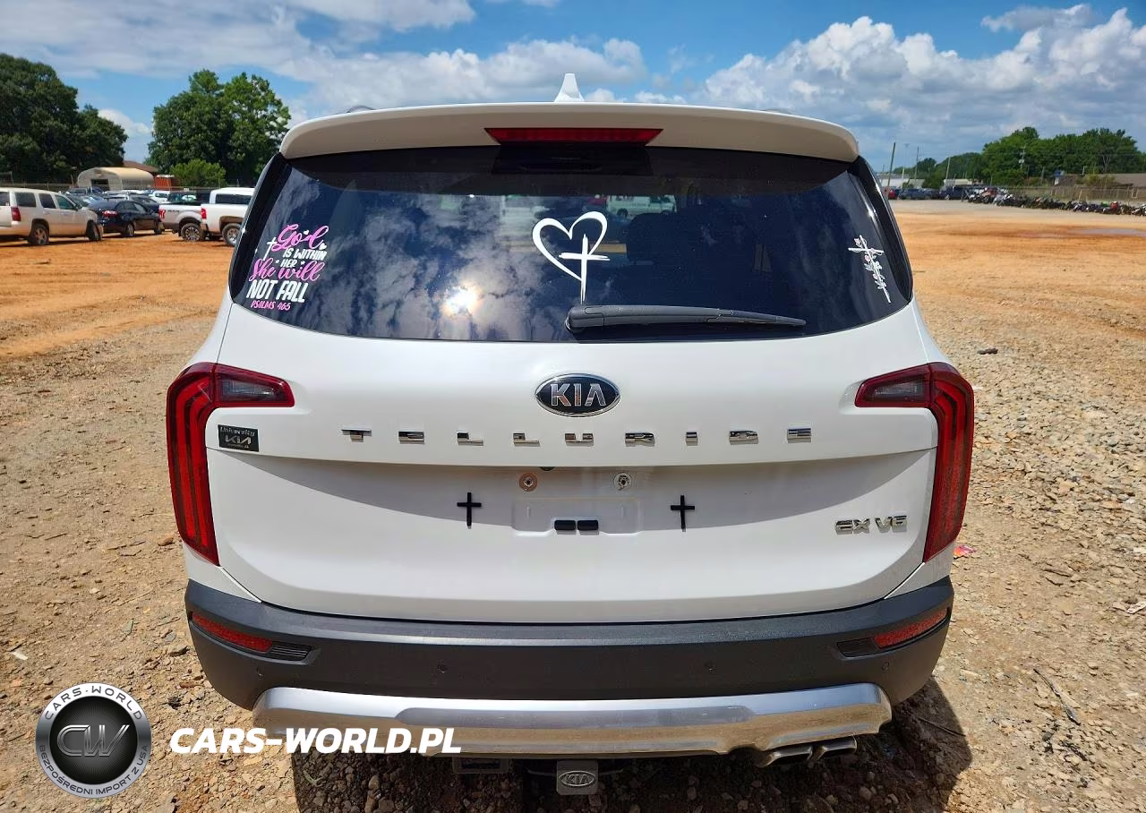 2020 Kia Telluride Ex VIN:5XYP34HC0LG065845 - 6