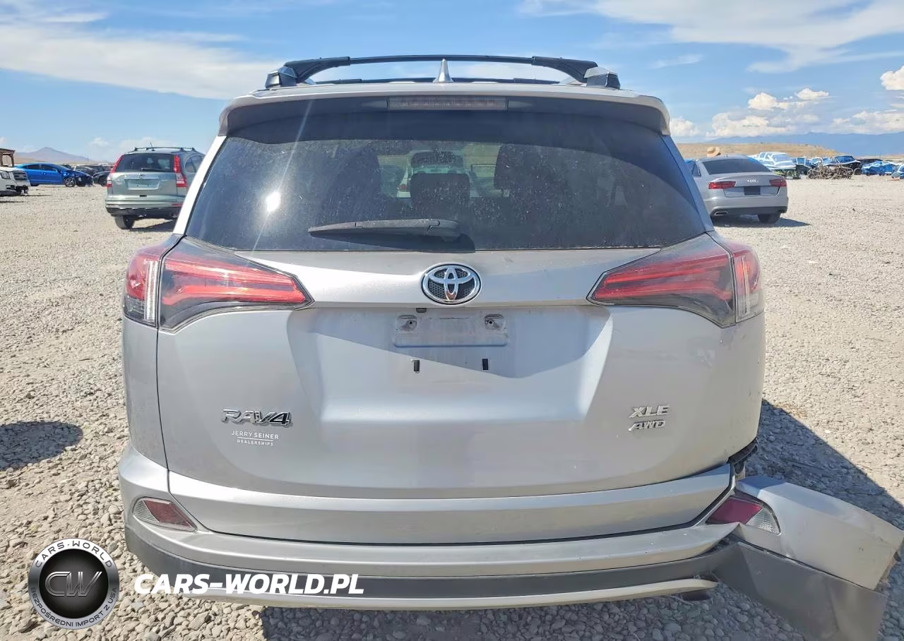 2016 Toyota Rav4 Xle VIN:2T3RFREV5GW427288 - 6